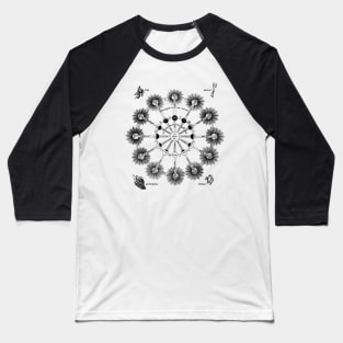 1679 Theotechnia Hermetica Planets & Solar System Baseball T-Shirt